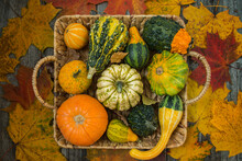 Different Decorative Pumpkins In A Wicker Basket On A Wooden Background, Autumn Harvest