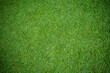 grass field background, green nature
