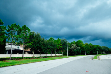 Canvas Print - Beautiful trees and thunder cloud in the summer of Florida	