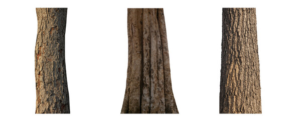 Wall Mural - Set of trees silhouette for brush on white background