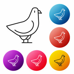 Sticker - Black line Dove icon isolated on white background. Set icons colorful circle buttons. Vector