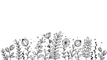 Wall Mural - animation with simple linear colors in doodle style. wildflowers and leaves drawn by black lines on a white background.