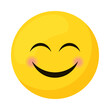 blush smiley emoji