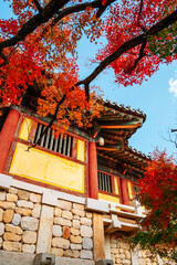 Wall Mural - Bulguksa temple with autumn leaves in Gyeongju, Korea