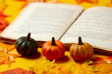 Wall Mural - Romantic book and pumpkin with autumn leaves on yellow background. Top view