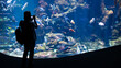 Silhouette of an unidentified man watching the fish in an oceanarium