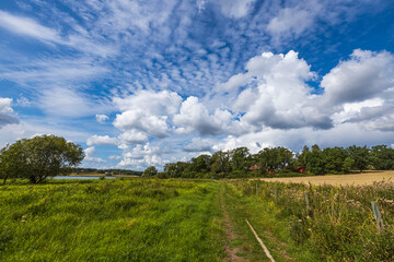 Wall Mural - Beautiful summer nature landscape view. Lake coast on blue sky with white clouds background. Sweden. 