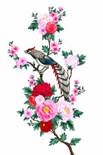 Blooming Peonies Branches And Chinese Pheasant In Vertical Canvas