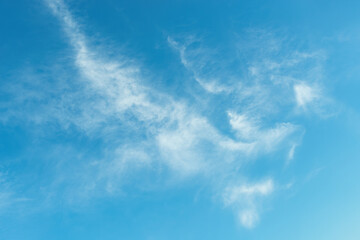 Wall Mural - wispy cirrus clouds in the blue sky on a sunny day. clear azure summer sky with sparse translucent c