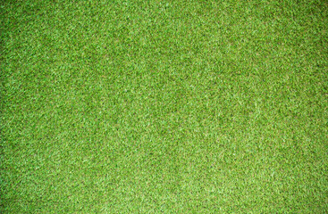 Sticker - green grass background