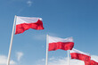 Polish flags on masts
