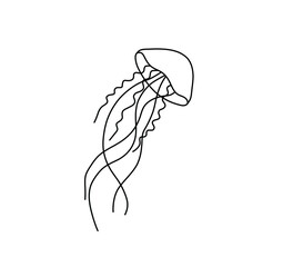 Vector isolated jellyfish medusa line drawing. Black line medusa graphic outline sketch.