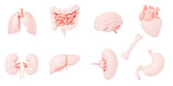 Fototapeta Do przedpokoju - Human internal organs icon set with lungs kidneys stomach intestines brain heart spleen liver bone 3d illustration