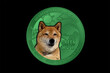 crypto, doge coin, SHIB coin, crypto currency, green coin, green currency