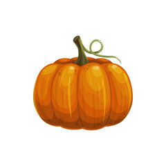 Sticker - Pumpkin with stem isolated raw gourd squash realistic icon. Vector Halloween symbol, fresh veggies 3D pumpkin squash gourd. Ripe autumn harvest vegetable, vegetarian food, orange pumpkin