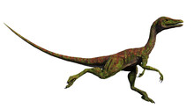 Compsognathus Longipes, Small Dinosaur From The Late Jurassic Period, Isolated On White Background