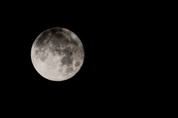 Wall Mural - Full Blue Moon in a Black Night Sky