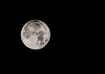 Wall Mural - Full Blue Moon in a Black Night Sky