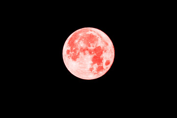 Wall Mural - Full Pink Moon in a Black Night Sky