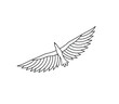 Vector isolated flying bird top view contour line drawing. Colorless black line icon logotype soaring bird top view
