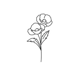 Wall Mural - Vector isolated poppy flower line drawing. Colorless black and white simple poppy flower outline sketch.