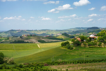 Landscape of Langhe, Piedmont, Italy near Dogliani at May