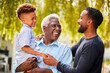 © Monkey Business - Smiling Multi-Generation Male Family At Home In Garden Together