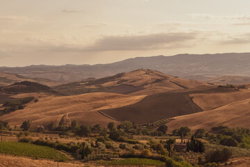 Sticker - Panoramic view of the Tuscan countryside with the characteristic colors of its hills.