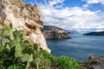 Wall Mural - View of the Old City in Dubrovnik, in the foreground cactus and rock