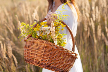 Wall Mural - Woman with a basket of flowers, herbs. Close-up