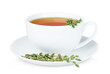 one white cup of tea with fresh thyme sprigs on isolated white background