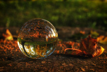 Glass Crystal Ball In The Forest. Beautiful Autumn Landscape.