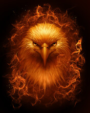 Burning Bald Eagle Head On The Dark Background. Digital Painting. 
