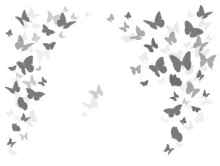 Wall Mural - Flying black silhouettes of butterflies.Vector design element 
