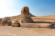 Sphinx in the Giza valley on a bright sunny day