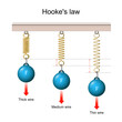 Hooke's law. the force is proportional to the extension. from a Thin wire to a Thick wire. vector illustration