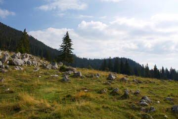  Brașov (Kronstadt) | Hiking in the Făgăraș Mountains