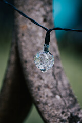 Sticker - Closeup shot of an aquamarine necklace in front of a tree trunk