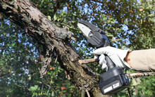 Hand Holds Light Chain Saw With Battery To Cut Dry Tree Branches In Garden