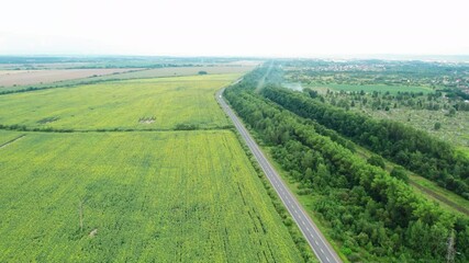 Wall Mural - Aerial view of road passing through farmland fields in Eastern Europe. Sunflower field yellow.