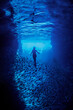 A Free Diver Swims In A Cave with a School of Fish