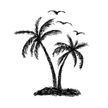 Palm Trees, Sun And Seagulls. Vector Illustration