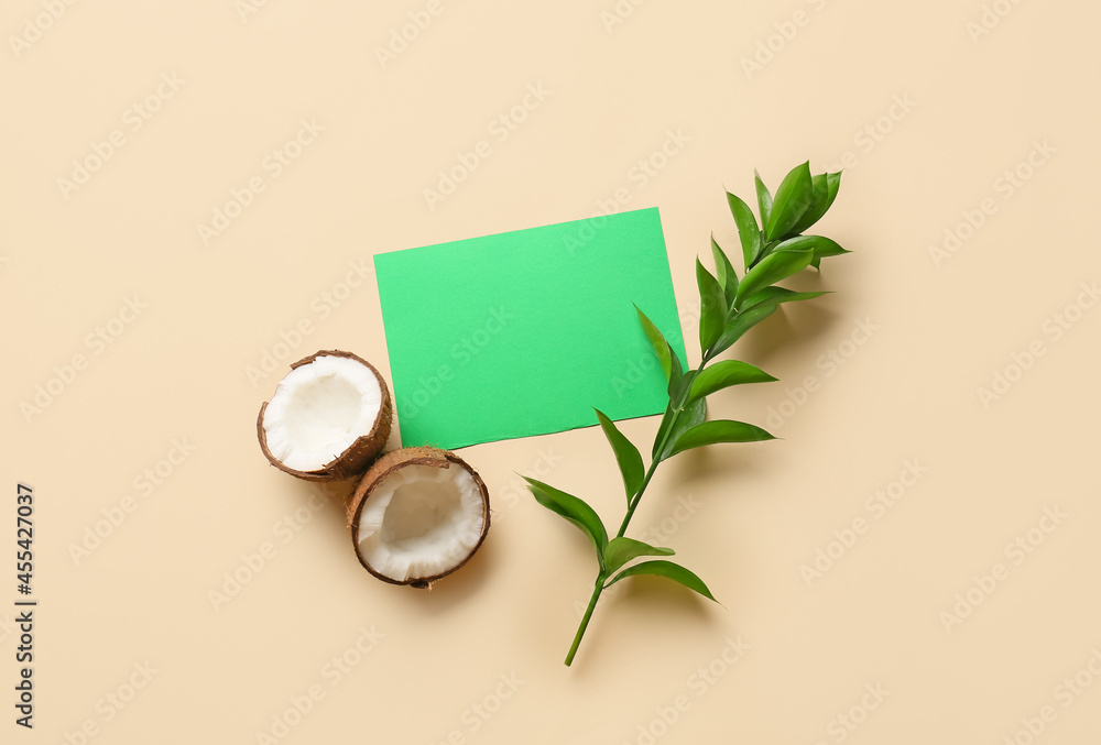 Blank card, coconut and plant branch on color background