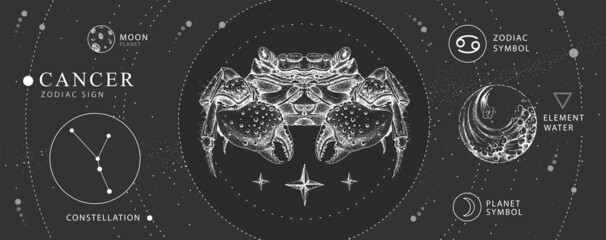 Modern magic witchcraft card with astrology Cancer zodiac sign. Realistic hand drawing crab illustration. Zodiac characteristic