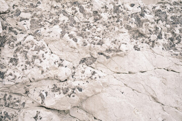 Poster - Detail of Jurassic Coast made of Limestone in Dorset, UK