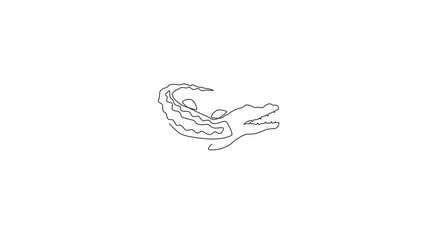 Wall Mural - Animated self drawing of single continuous line draw wild rough alligator with mouth opened for logo identity. Crocodile reptile concept for conservation park icon. Full length one line animation.