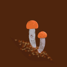 Two Orange Mushrooms In The Grass