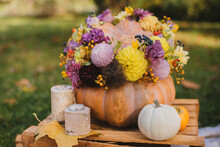 Large Pumpkin With Purple And Yellow Flowers On A Wooden Box In The Autumn Garden