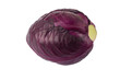 Organic Red Pointed Cabbage
