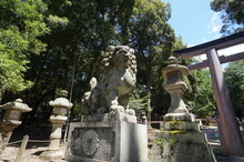 Japanese Buddhist Temple Shrine